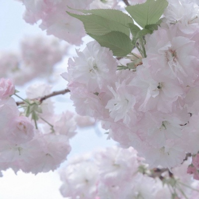 Furry插画细节灵感兽圈群